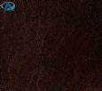 hazal 2