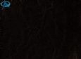 hazal 3