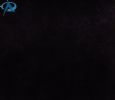 defne 8
